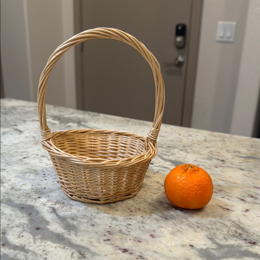 Woven Basket with Handle